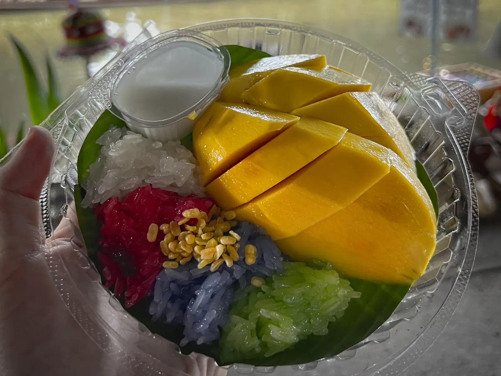 Mango Sticky Rice by Mr. Wanderer Mango sticky rice with colored sticky rice in a plastic container, floating markets in the background.