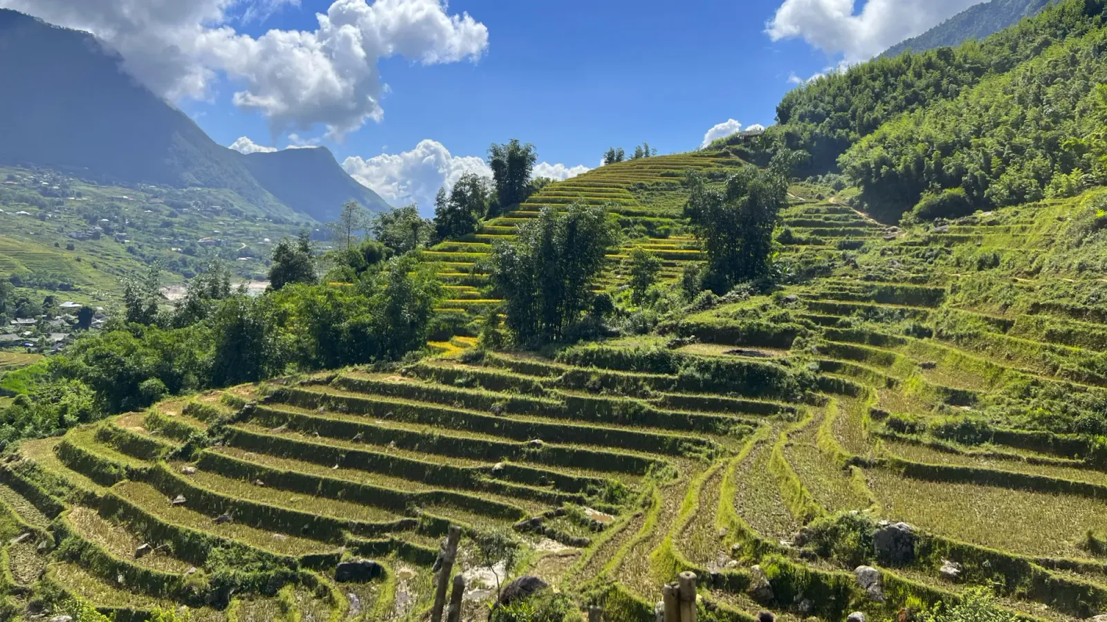 Sapa by Ms. Wanderer Sapa rice fields, shot from across the valley.
