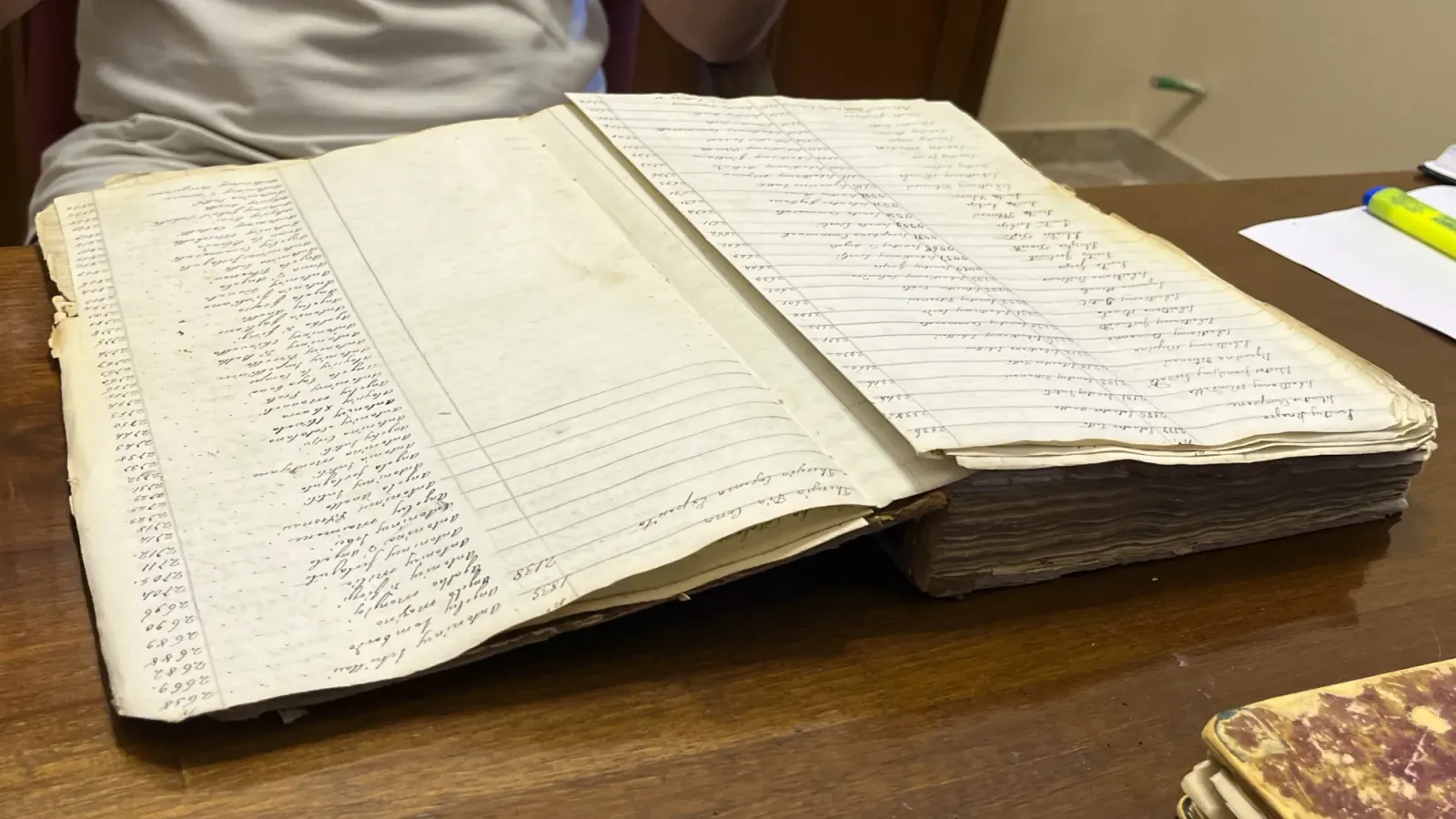 Geneology by Mr. Wanderer Birth records book.