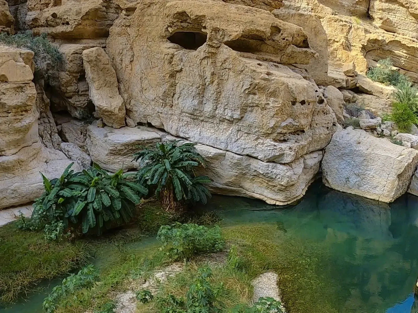 Omani Wadi by Mr. Wanderer Large sandstone valley with green water and vegetation at the base