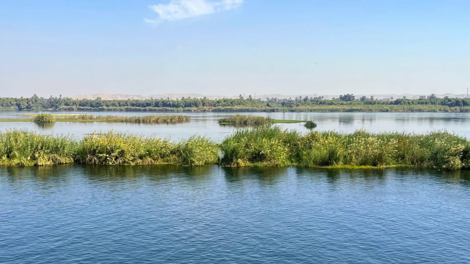 Blue water with green river reeds
