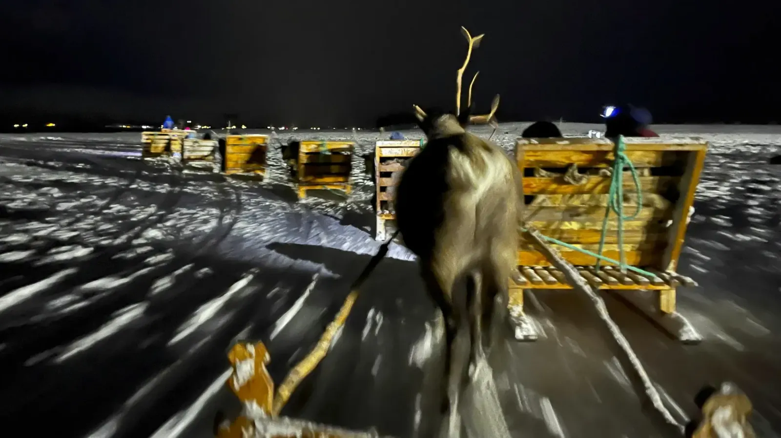 Reindeer Sledding by Mr. Wanderer Sequence of wooden sleds pulled at night by reindeer