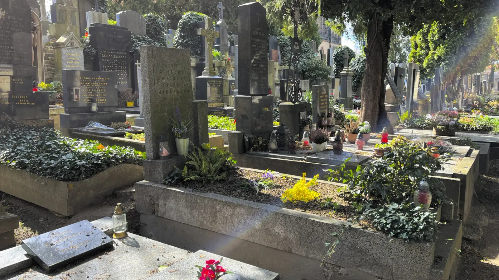 Vyšehrad Cemetery by Mrs. Wanderer Graves in the sunlight