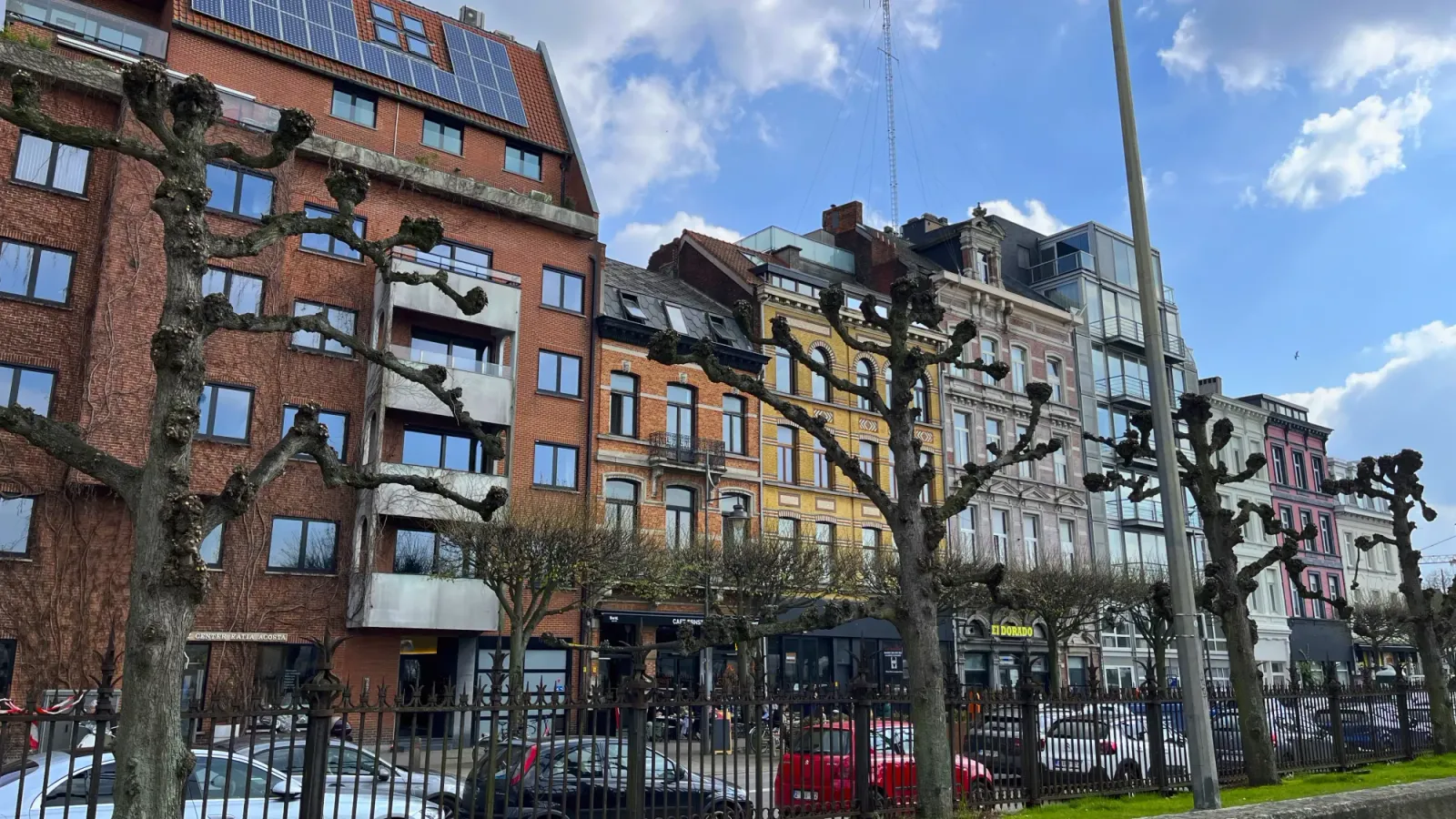 Antwerp Streets by Mrs.Wanderer Pastel buildings with knotty trees in the foreground
