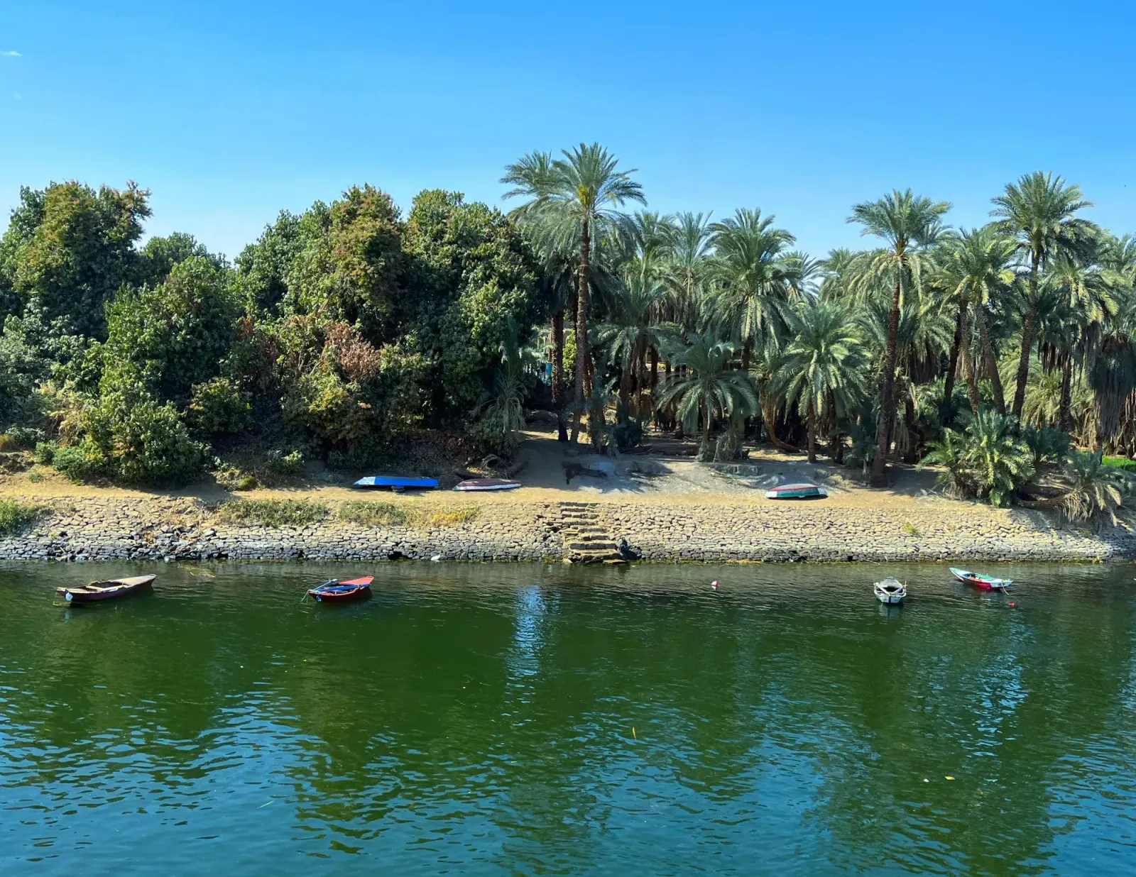 Nile Coastline by Mrs. Wanderer Green palm-tree adorned coastline with small boats in the water