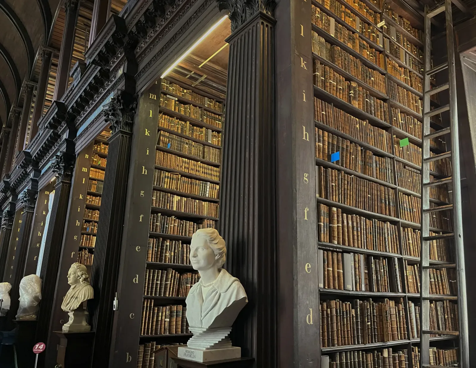 Trinity Library by Mrs. Wanderer Dark wood bookshelves with white marble busts