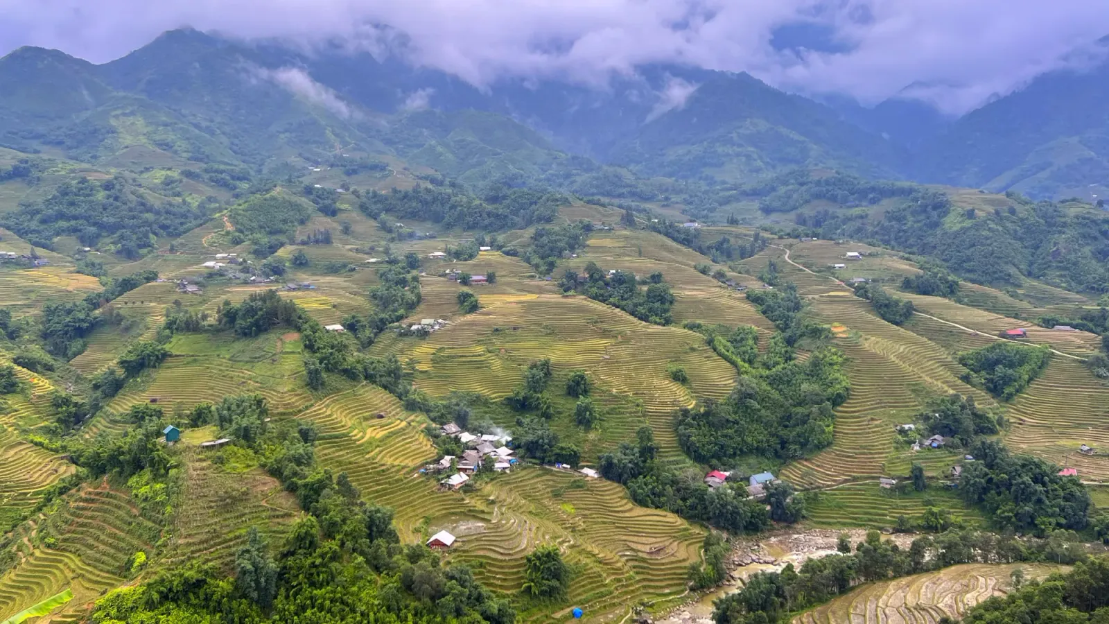 Sapa Rice Fields by Ms. Wanderer Mountain Ridge lined with rice terraces in Sa Pa, Vietnam