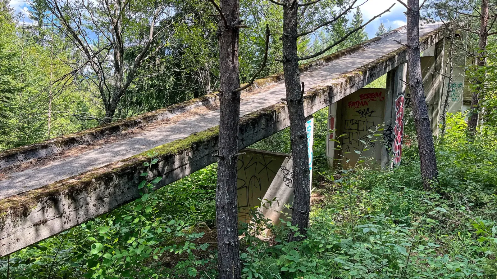1984 Olympic Luge by Mr. Wanderer Moss covered concrete slide overgrown with trees and plant-life