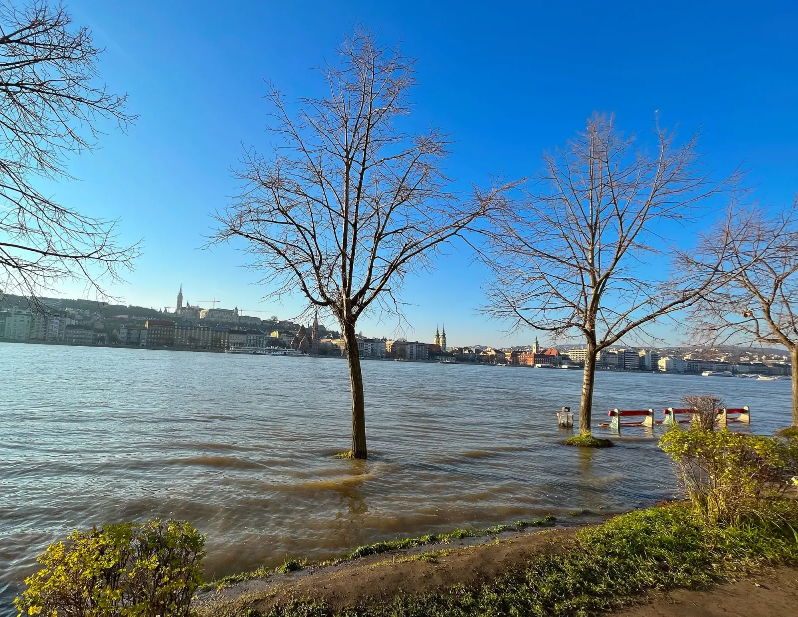 Riverbank Flood by Mrs. Wanderer Trees and benches submerged in water overflow from the river