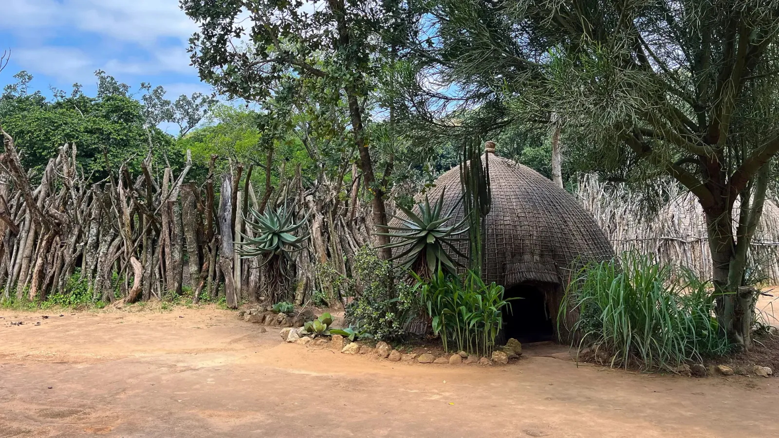 Swazi Hut and Fencing by Mrs. Wanderer Hut made of grasses surrounded by a fence made of large sticks