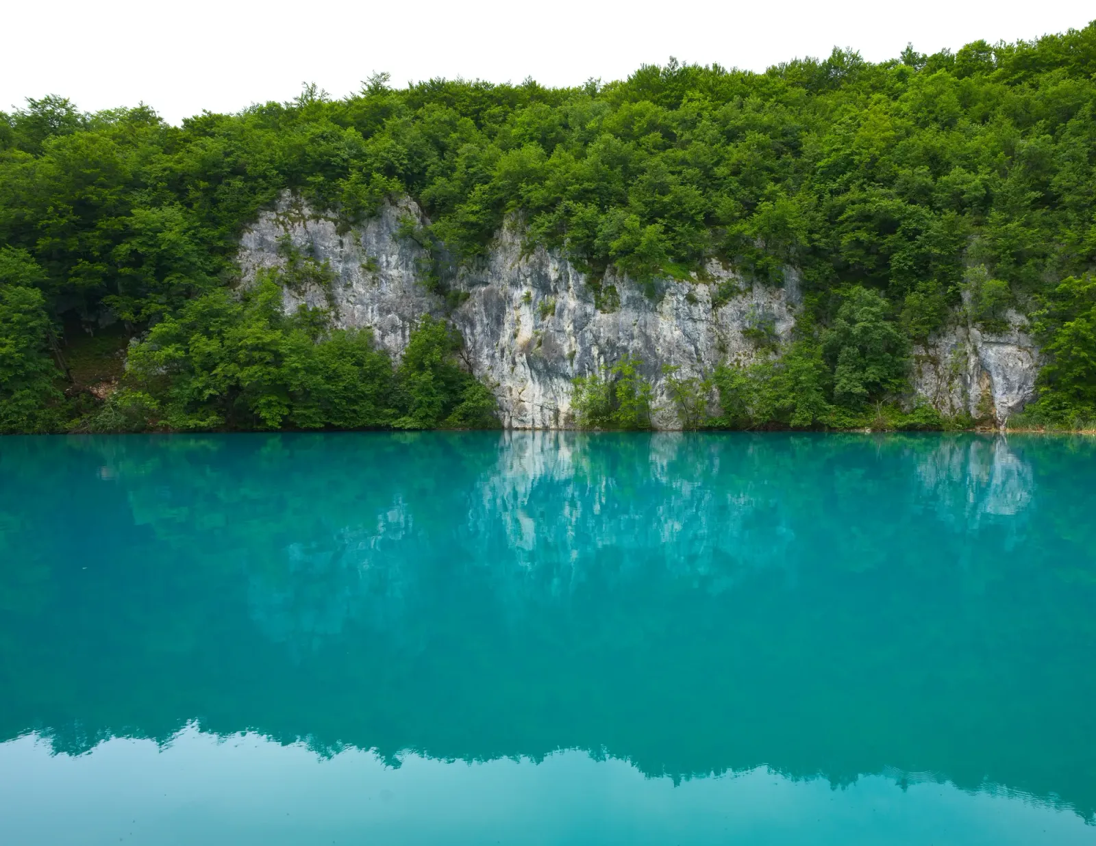Plitvice Reflections by Mrs. Wanderer Green flora on grey stones reflected against aqua water