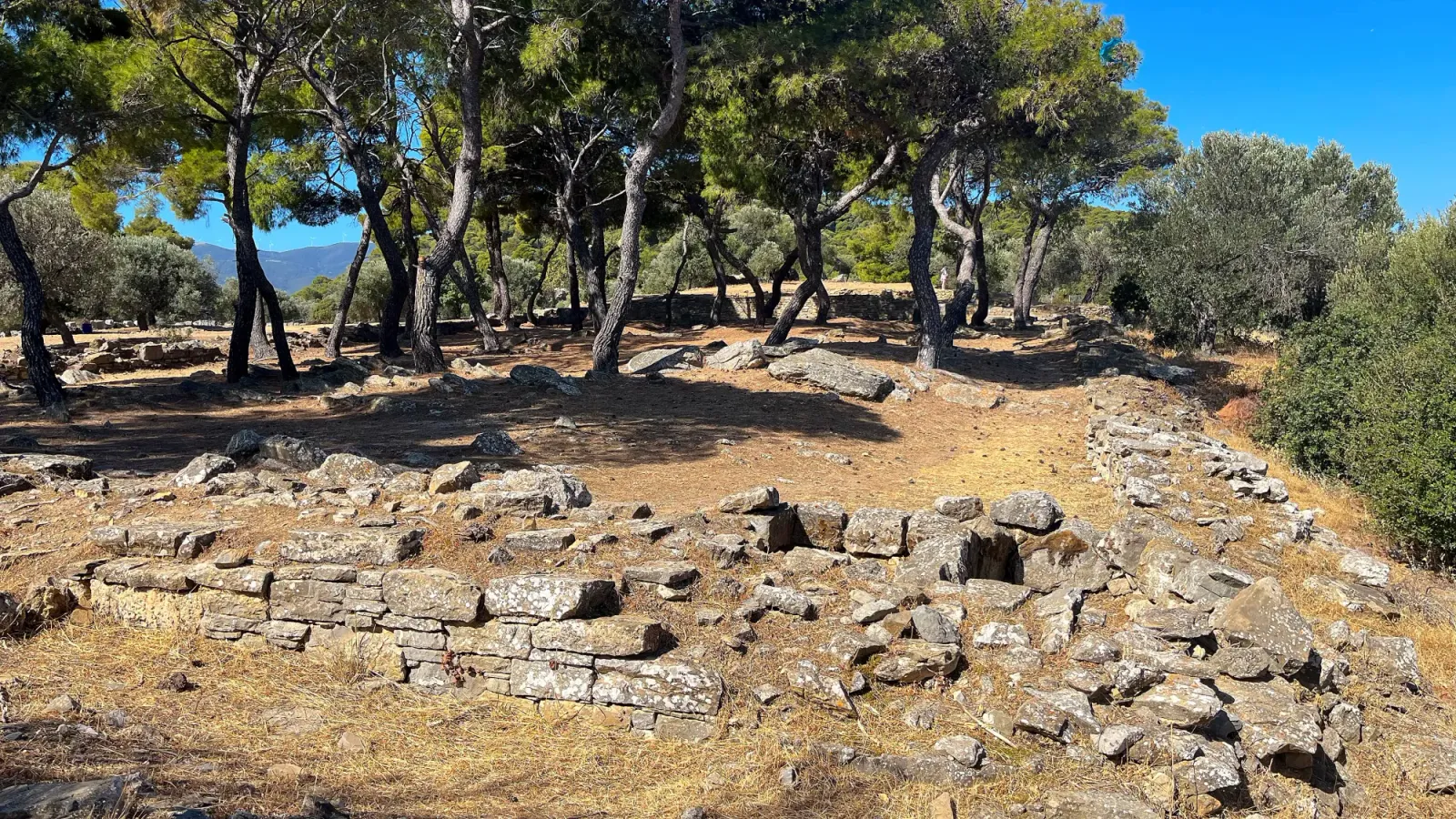 Sanctuary of Poseidon by Mrs. Wanderer Stone ruins nestled under lush trees